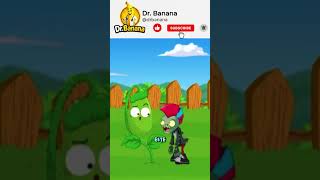 O PEPINO É Planta Mais PERIGOSA do Mundo