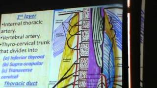 preview picture of video '19) Dr.Shreif zaky 11/11/2014 [ Infra hyoid region ]'