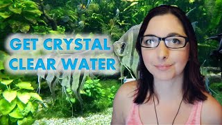 How To Fix A Cloudy Aquarium 🐠 Get Crystal Clear Aquarium Water
