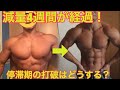 減量４週目の様子。停滞期到来！どうやって打破？