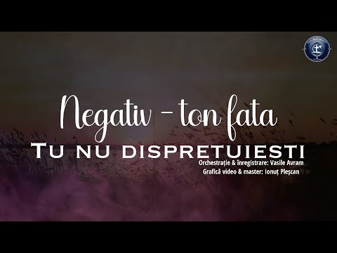Tu nu dispretuiesti o inima zdrobita - NEGATIV TON FATA