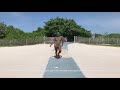 VIRAL YOUTUBER SHOW YOU HOW TO STRUT THE RUNWAY