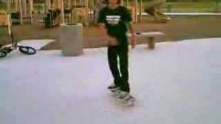 Skate and Destroy - Mitch