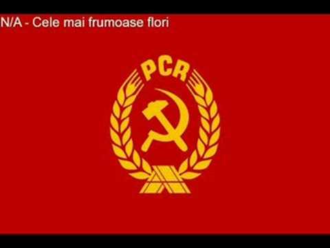 N/A - Cele mai frumoase flori