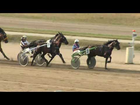 102. Magyar Ügetőderby