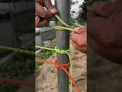 The most popular knot – simple and reliable!