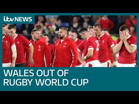 Wales beaten by South Africa in Rugby World Cup semi-final | ITV News