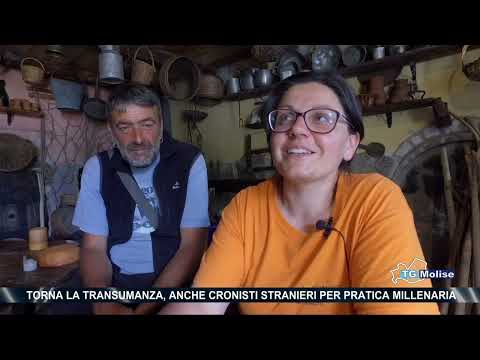 Torna la transumanza, anche cronisti stranieri per pratica millenaria