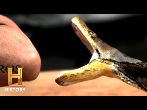 Kings Of Pain | New Episodes Thursdays at 10:30/9:30c | HISTORY