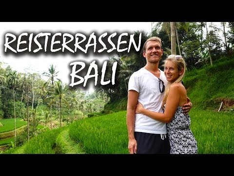 Die Tegalalang Reisterrassen 🌴 Wunderschönes Bali - Backpacking Indonesien | VLOG 99