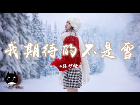 張妙格 - 我期待的不是雪 (而是有你的冬天)『我期待煙花漫天，我可以永遠靠在你左肩。』【動態歌詞 | Pinyin Lyrics】【PENGUIN MUSIC】