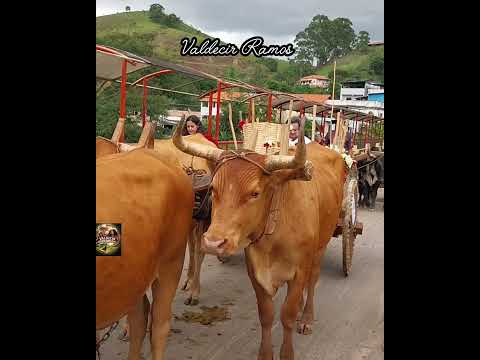 boiada  passa pela antiga ponte ferroviária em Lima Duarte