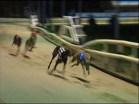 2017 CORAL CHAMPION STAKES FINAL - T6 MURRYS ACT