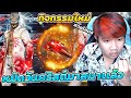 เพชร ฟีฟาย