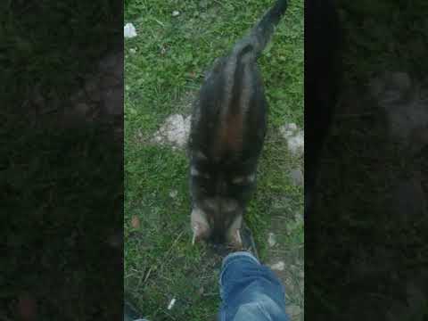 Omar, Zohra et Fiston 26 octobre 2019...