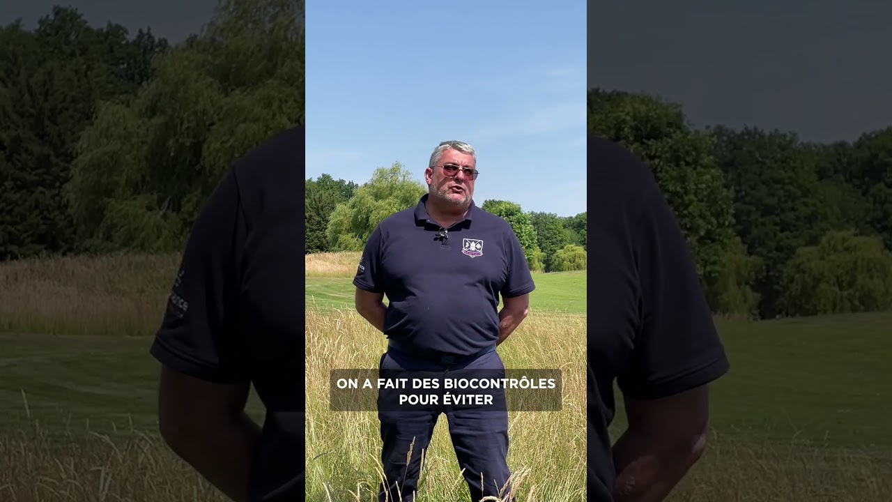 Youtube Video Cover