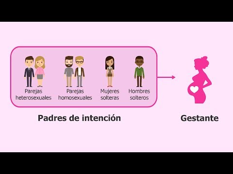 ¿Qué es la gestación subrogada? - Definición, tipos e indicaciones