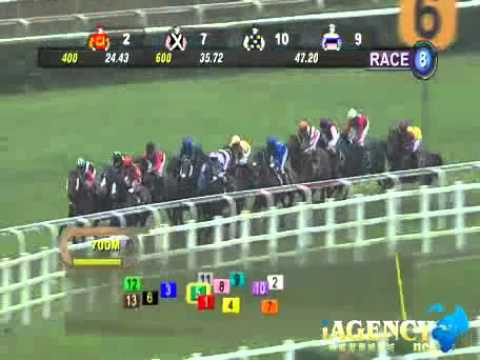 SINGAPORE RACE 17/11/2013 RACE 8 - iAgencyNet.com