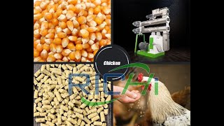 Testing of animal poultry chicken cattle aqua feed pellet mill