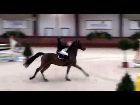 Vilma Catani ja Quirinal Hendrixin kisoissa 135-radalla kolmansia 4.3.17.