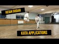 Heian Godan Bunkai Basic
