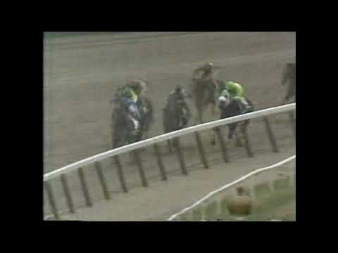 COLONIAL AFFAIR - Belmont Stakes 1993
