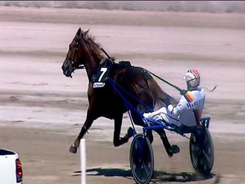 Trotto 14/04/2019 - 1ª corsa