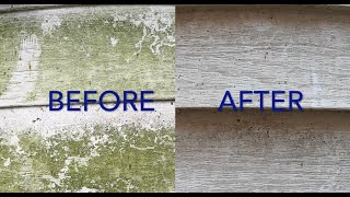 Time Lapse: Mold disappears with vinegar