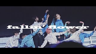 Download lagu 220325 CARATLAND Fallin' flower(korean ver.) SEVENTEEN mp3 Download lagu 220325 CARATLAND Fallin' flower(korean ver.) SEVENTEEN mp3