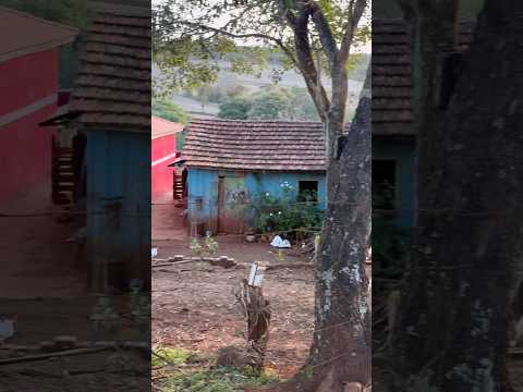 Interior do Paraná, ivaipora #roca