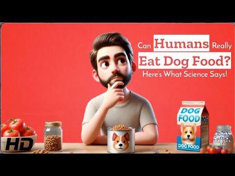 Human vs Dog Food: What Science Says About Eating Like a Dog