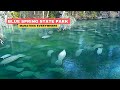 Blue Spring Florida Manatees State Park