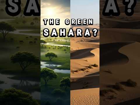 Why The SAHARA Was GREEN 5,000 Years Ago #Shorts#HistoryShorts#DidYouKnow