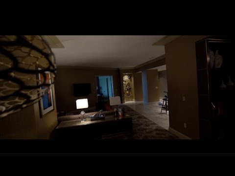 INCREDIBLE MLG VEGAS PENTHOUSE!