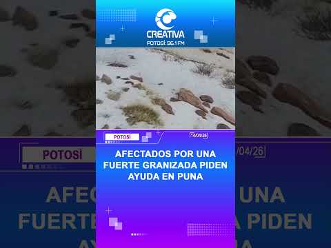 AFECTADOS POR UNA FUERTE GRANIZADA PIDEN AYUDA EN PUNA
