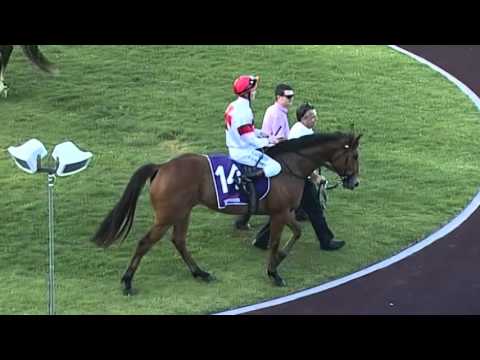 Ascot, 28/11/15, Race 8 - RIPPER RED - Nick Cox & Jarrad Noske