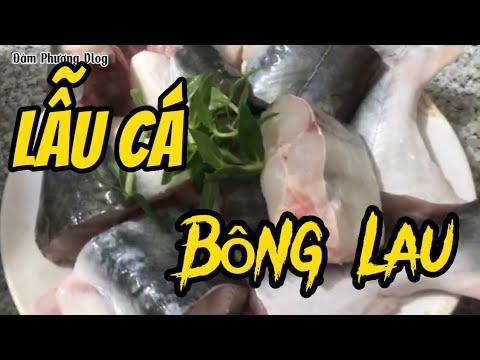 Lẩu cá bông lau