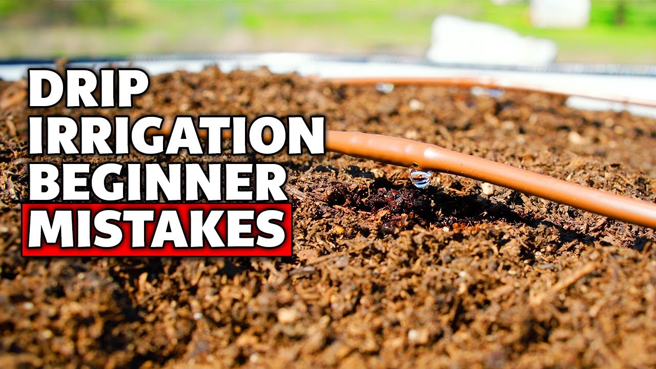 5 Beginner Drip Irrigation Mistakes