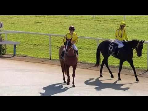 Belmont Park, 15/06/2016 - Race 1 - THEORIZE - Neville Parnham & Steven Parnham