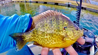 This was a FUN Surprise! Spring Panfishing!