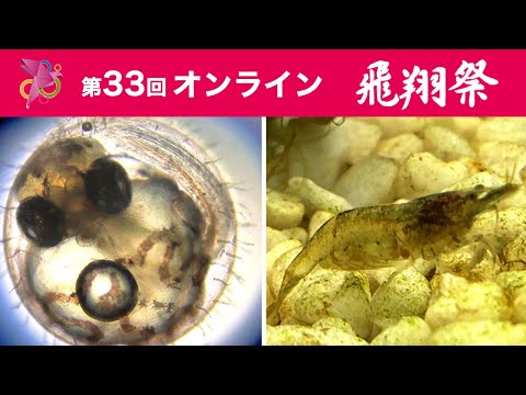 コロナに負けるな！！メダカの学校2020