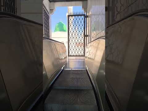 View of rawda🕌❤️🥀 #madina #shorts #rawdah #makkah #islam #muslim #namaz #makkahmadina #reels