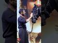 Ajay Devgan Patting Showering Love To Azaad Azaad Movie Trailer Ajaydevgan