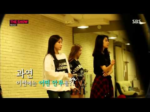 140902 The Show T-ara Comeback Cut [1080P]