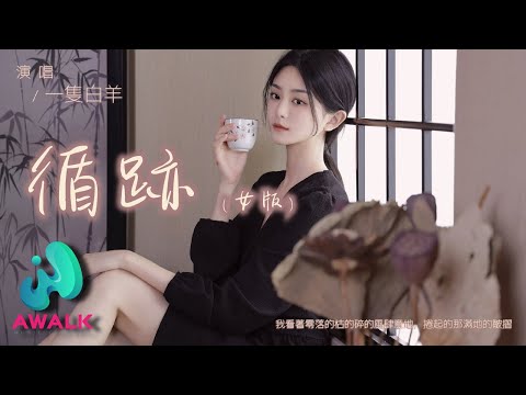 一只白羊 - 循迹
