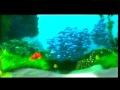 Closing To Monsters Inc UK VHS 2002