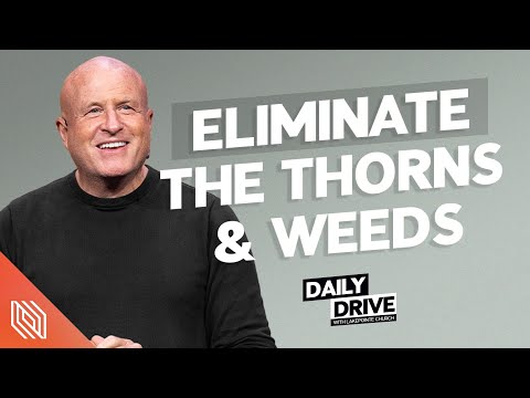 Ep. 319 ????️ Eliminate the Thorns & Weeds // The Daily Drive with Lakepointe Church