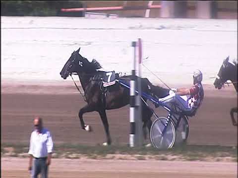 Trotto 20/09/2019 - 2ª corsa