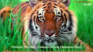 Portugal. The Man - Endangered Song [Sumatran Tiger]