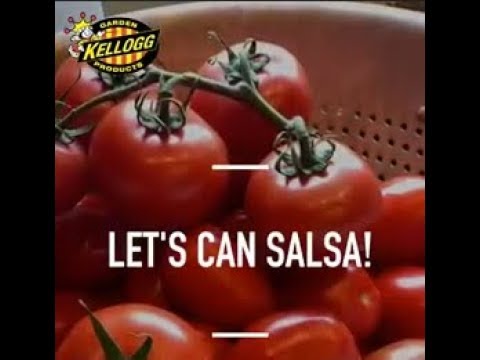 5 Tips for Canning the Perfect Salsa